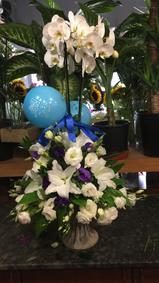 çiçek,çiçekçi, çiçekçiler, çiçek sitesi