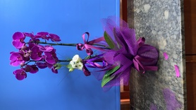 çiçek,çiçekçi, çiçekçiler, çiçek sitesi